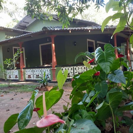 Green Bamboo House สิกิริยา ภายนอก รูปภาพ
