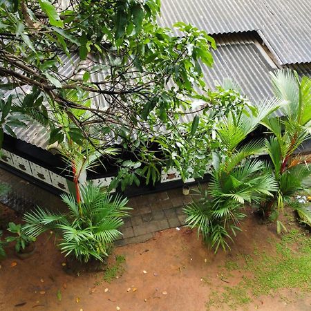 Green Bamboo House สิกิริยา ภายนอก รูปภาพ