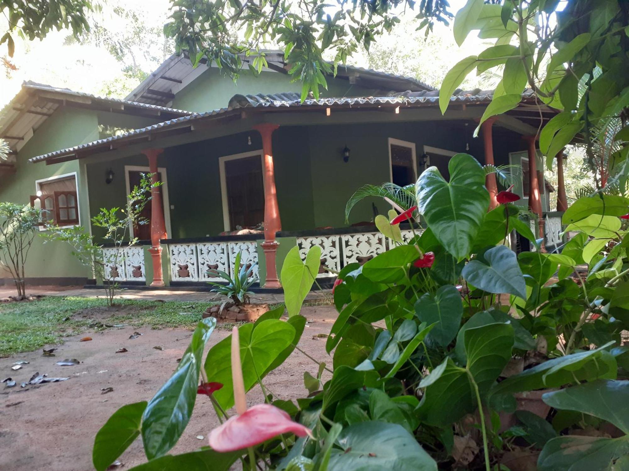Green Bamboo House สิกิริยา ภายนอก รูปภาพ