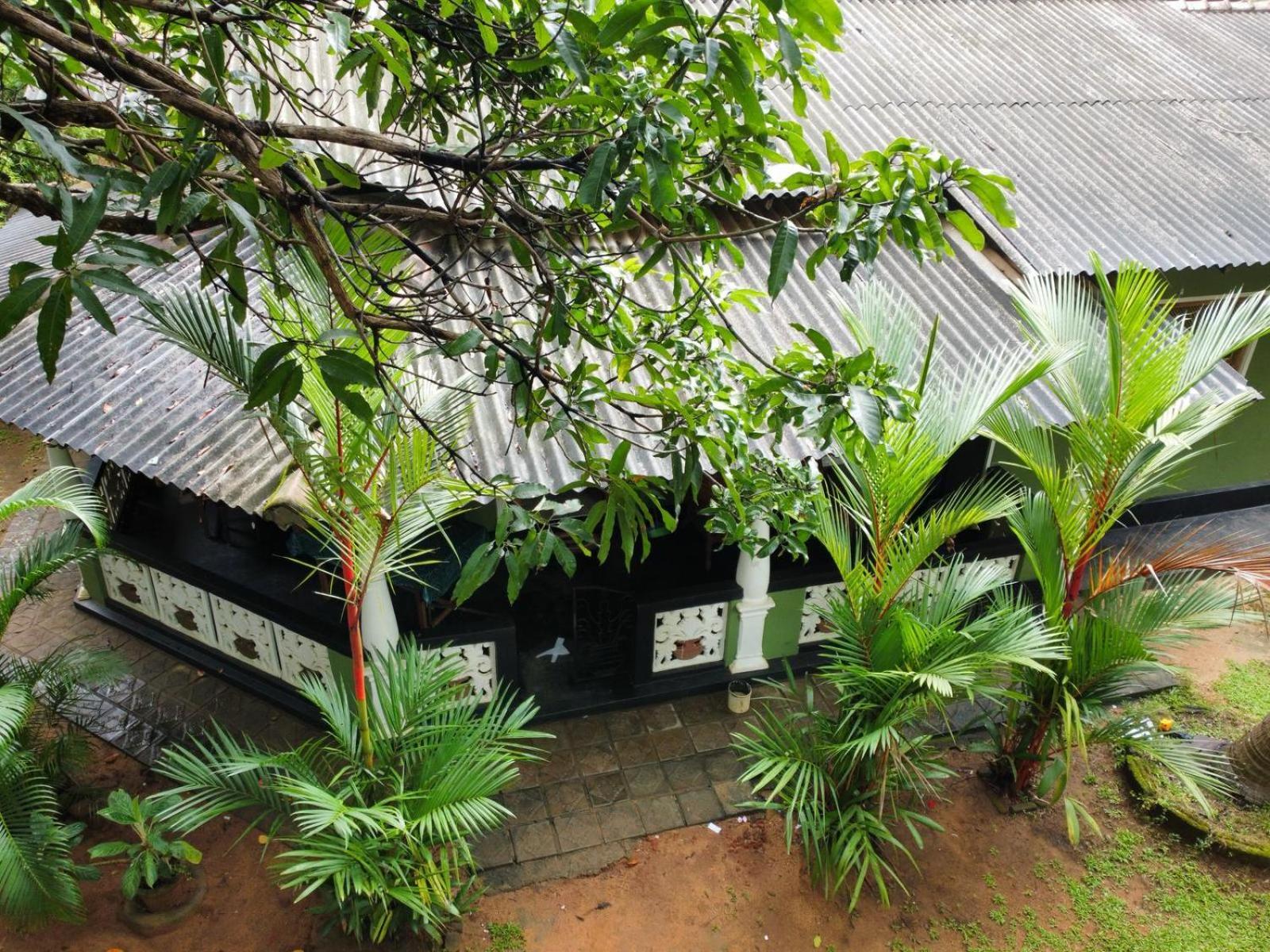 Green Bamboo House สิกิริยา ภายนอก รูปภาพ