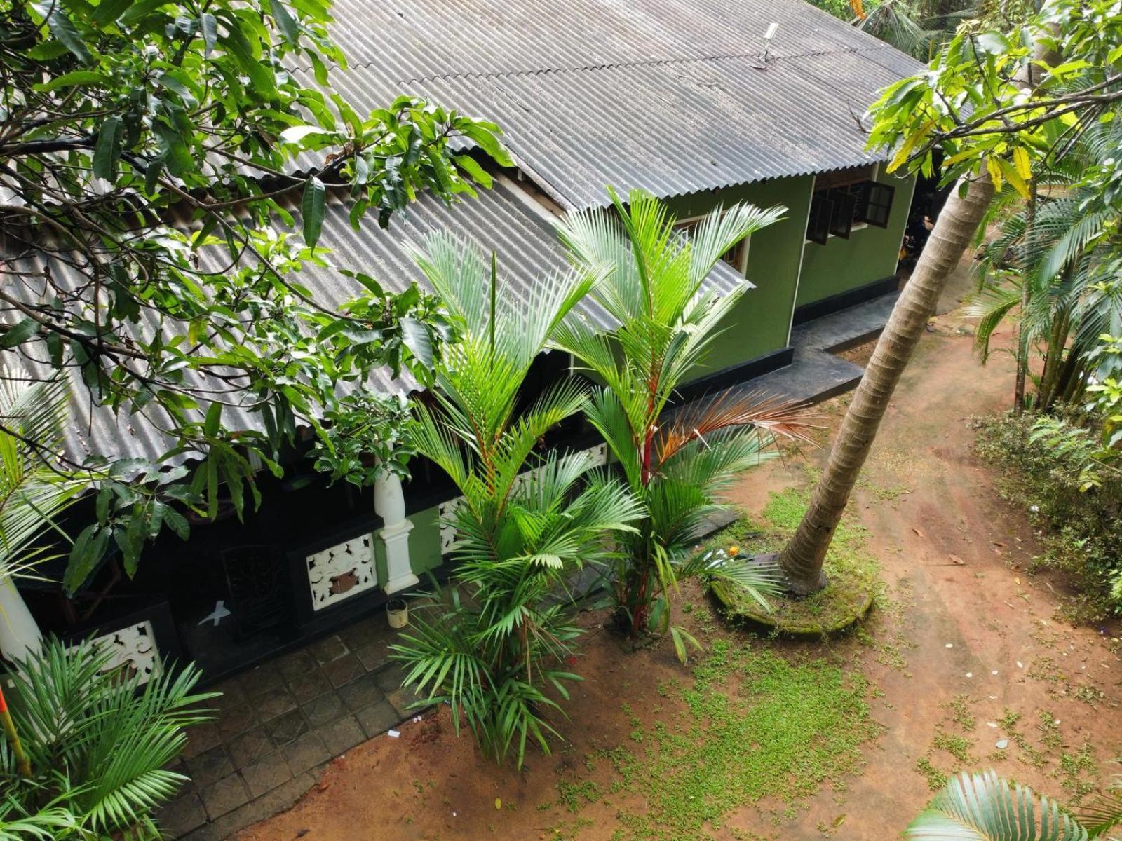 Green Bamboo House สิกิริยา ภายนอก รูปภาพ