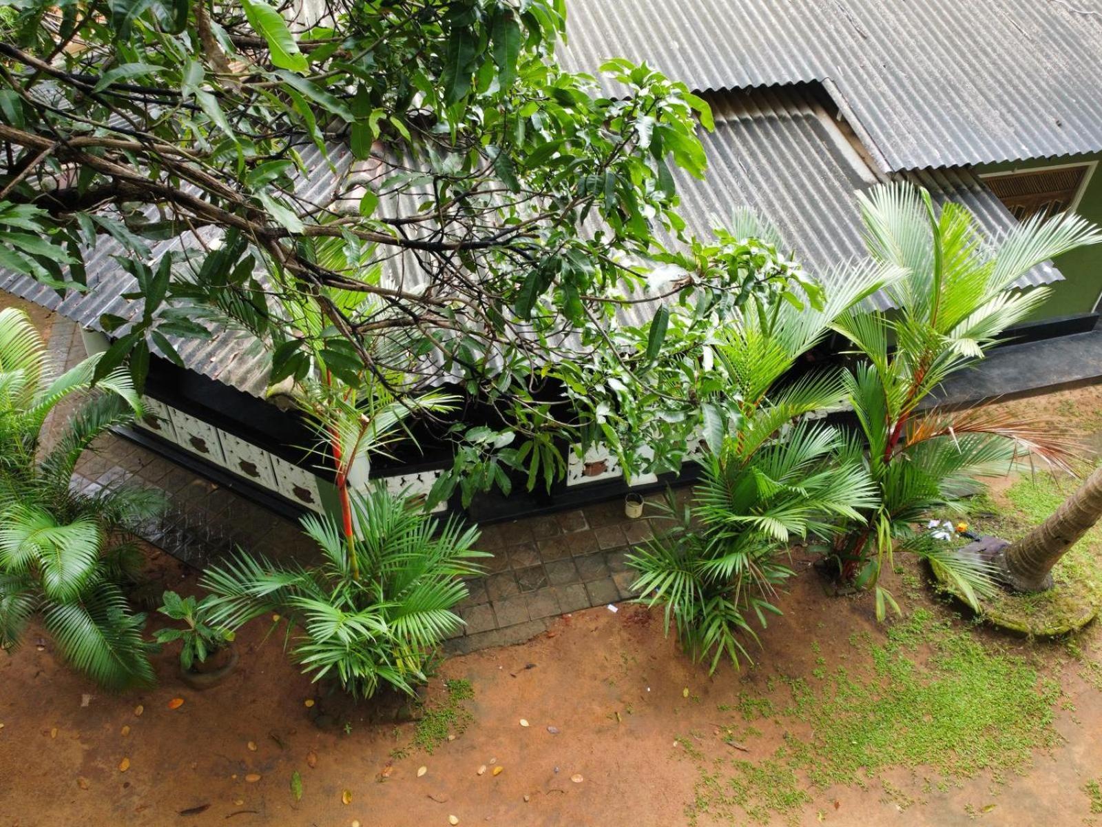 Green Bamboo House สิกิริยา ภายนอก รูปภาพ