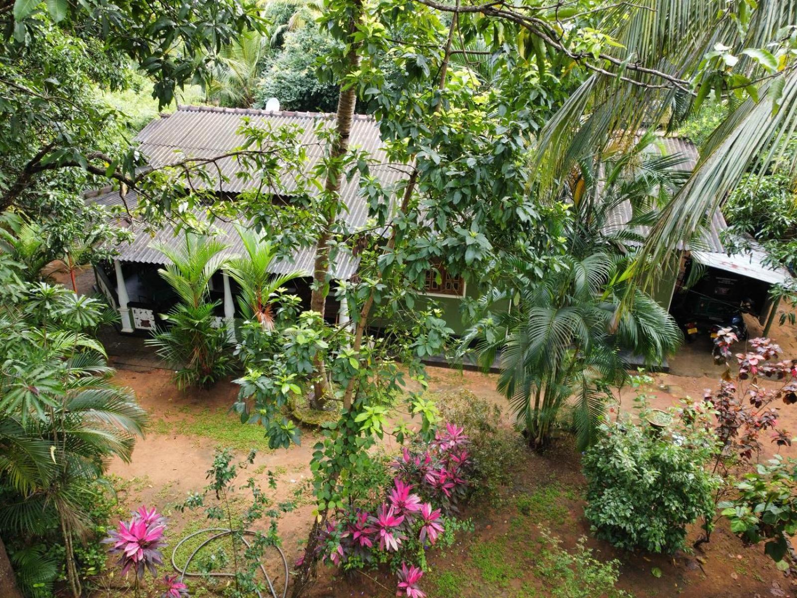 Green Bamboo House สิกิริยา ภายนอก รูปภาพ