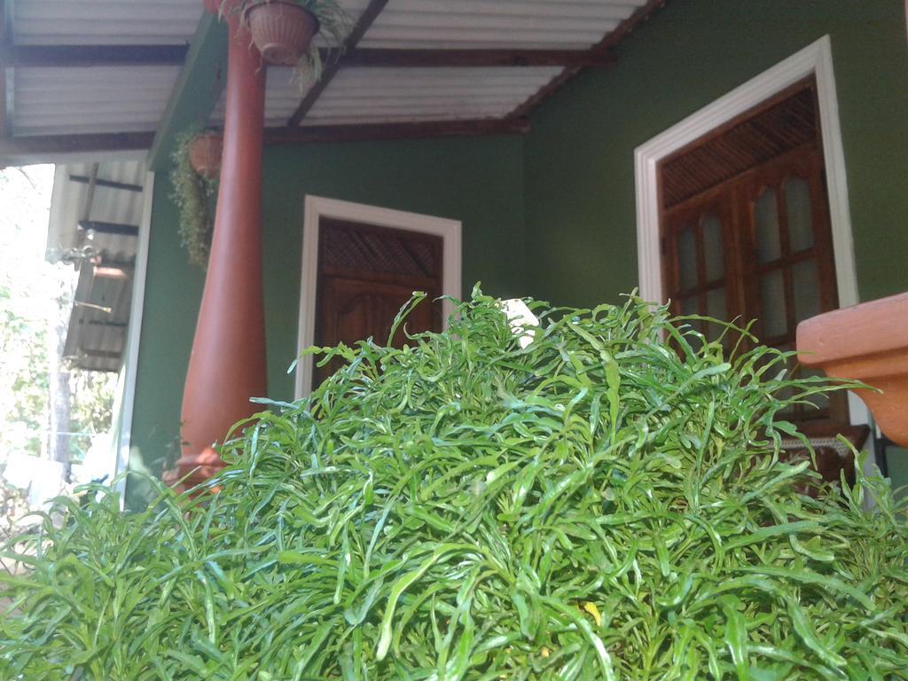 Green Bamboo House สิกิริยา ภายนอก รูปภาพ